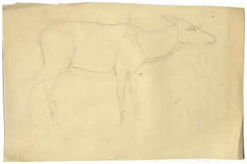 Visualizza l'immagine "FD D 163"